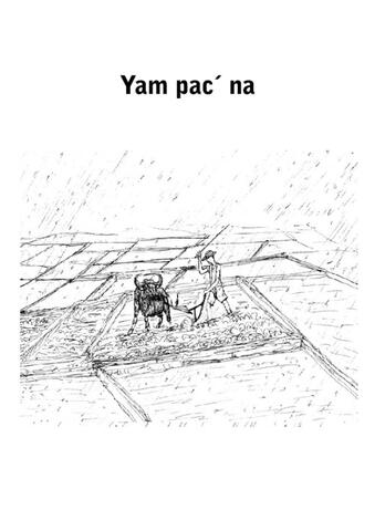 Yam paicˊ na