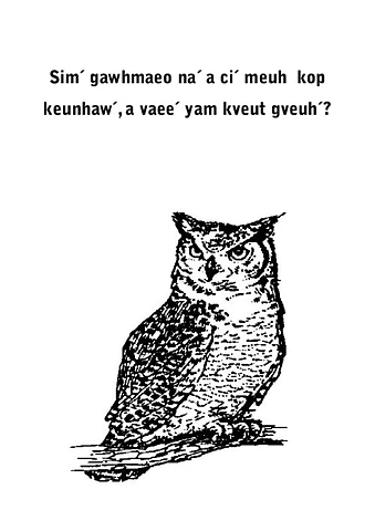 Simˊ gawhmaeo naˊ a ciˊ meuh kop keunhawˊ, a vaeeˊ yam kveut gveuh?