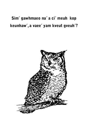 Why owl shout kveut gyeuh