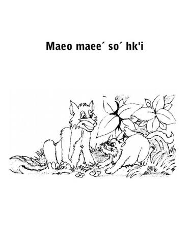 Maeo maeeˊ soˊ hk'i